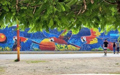 Artista Óscar Olivares inauguró mural más grande el mundo realizado con tapas plásticas en Guatire