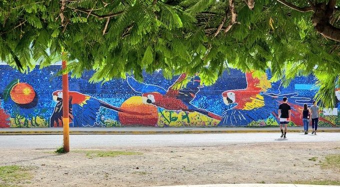 Artista Óscar Olivares inauguró mural más grande el mundo realizado con tapas plásticas en Guatire